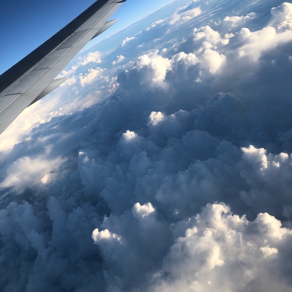 Meet your Posher, Kya - Picture 1 of 1